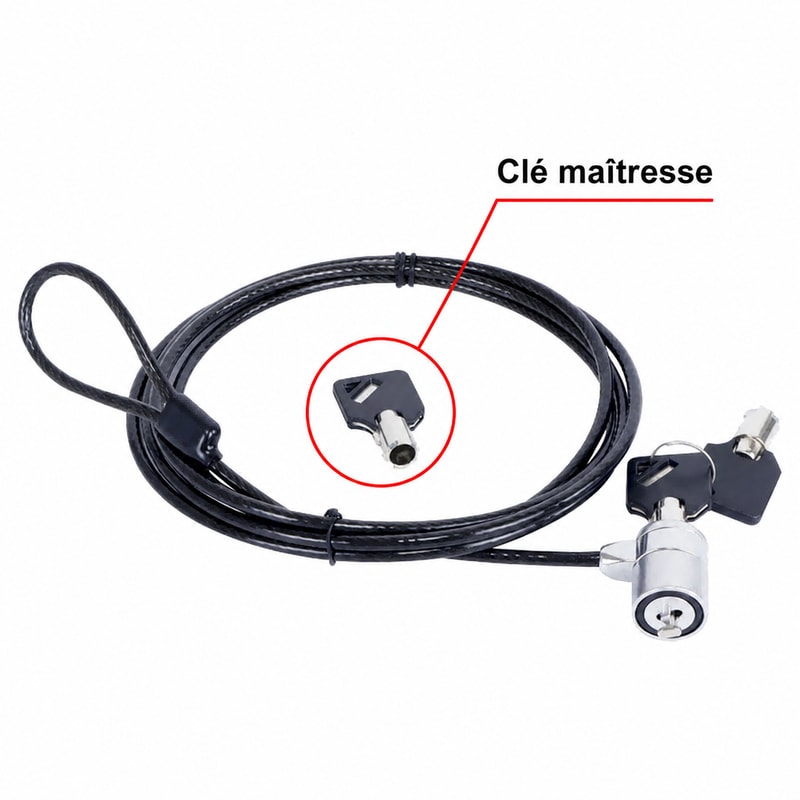 Câble antivol pour ordinateur portable à passe-partout, vue de la sécurité 1